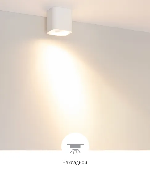 Фото #8 товара ACENTO